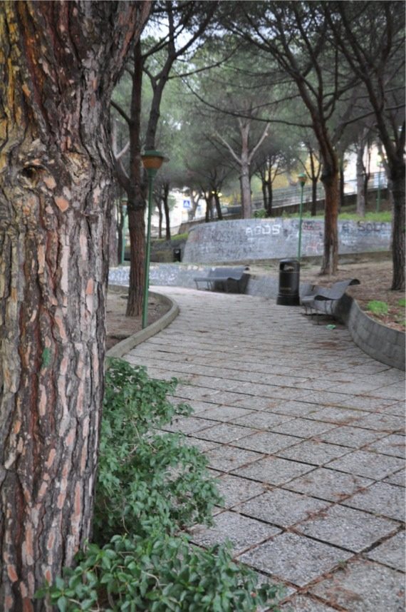 7-Ettore Castronovo's Park(1).JPG